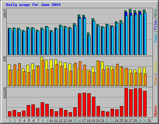Daily usage for June 2024