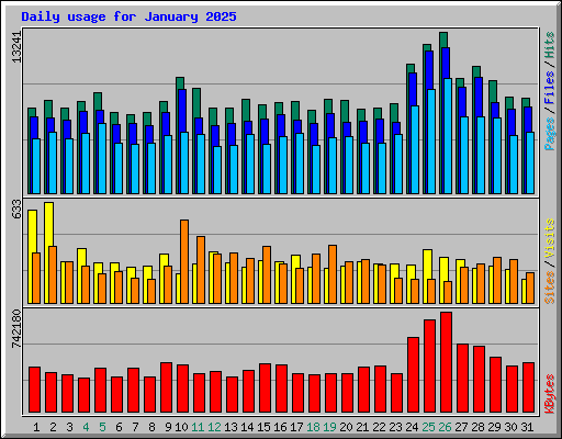 Daily usage for January 2025