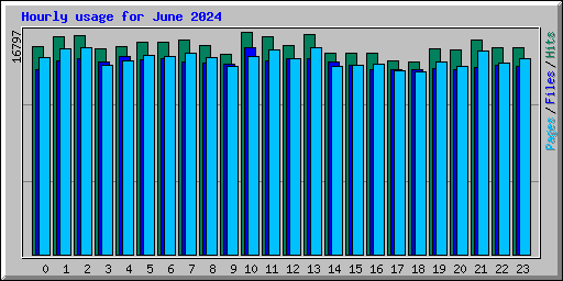 Hourly usage for June 2024