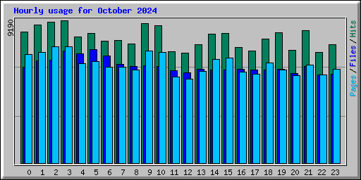 Hourly usage for October 2024