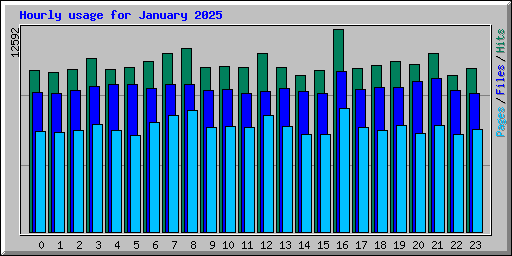 Hourly usage for January 2025