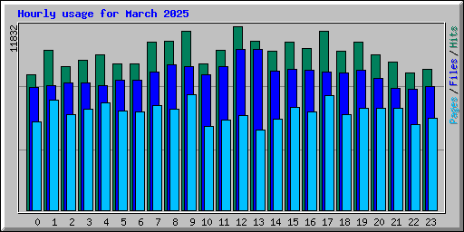 Hourly usage for March 2025