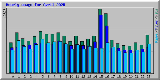 Hourly usage for April 2025