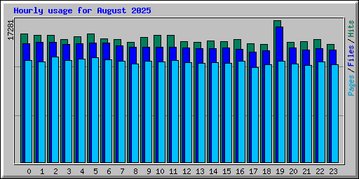 Hourly usage for August 2025