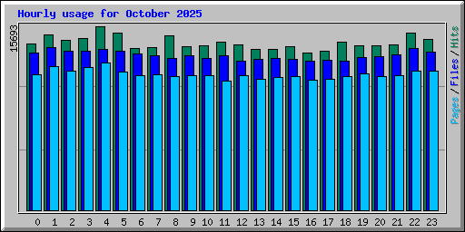 Hourly usage for October 2025