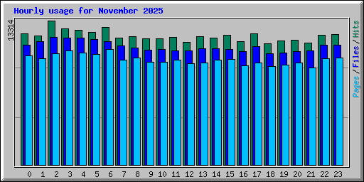 Hourly usage for November 2025