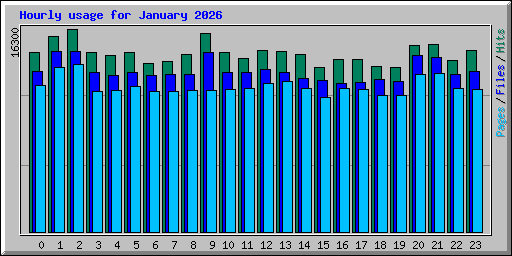 Hourly usage for January 2026