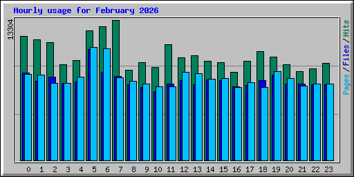 Hourly usage for February 2026
